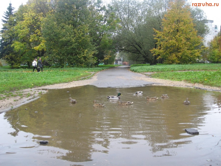 Тверь - Так  хорошо кладут асфальт в парке победы