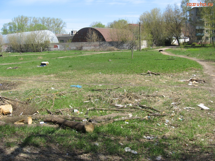 Тверь - Мусор и не убранные деревья на поляне между домами 8Б и 10 по проспекту 50-лет Октября.