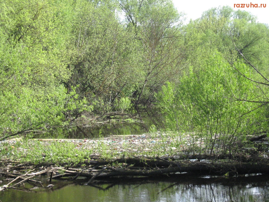 Тверь - Поваленные деревья, и мусор в реке Тьмака. Вид с моста, рядом со станцией Пролетарская.