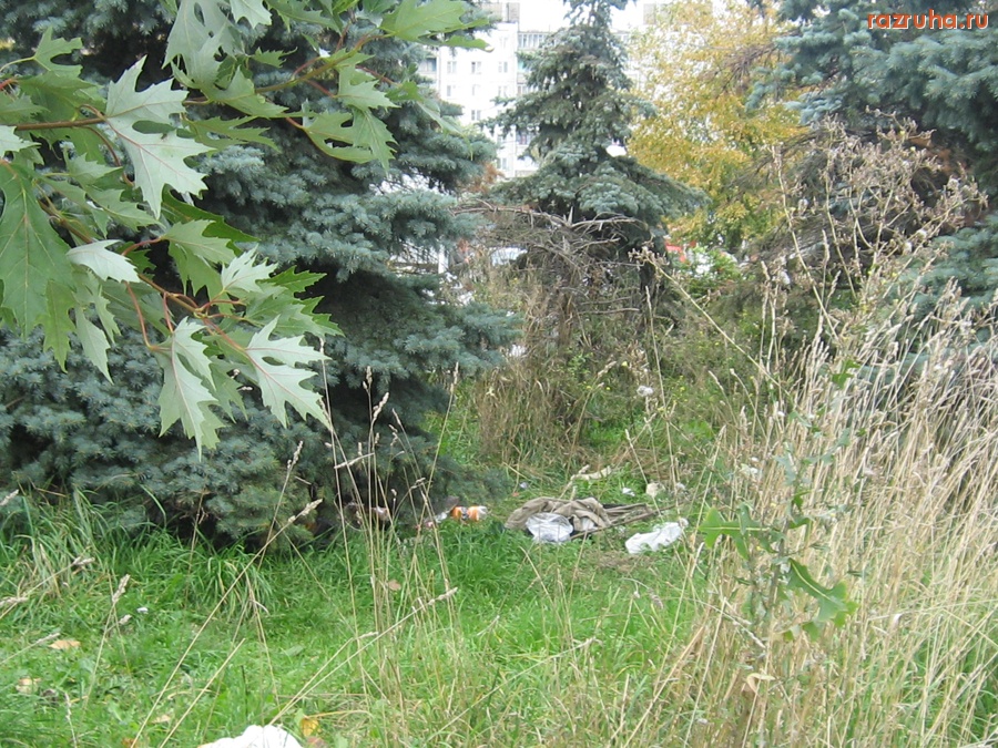 Тверь - Мусор на ул. Коминтерна рядом со зданием ж/д вокзала