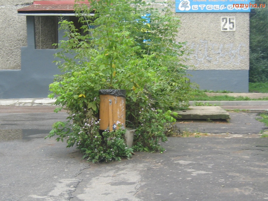 Тверь - Урну запрятали в кусты! Спортивный переулок, д.25.