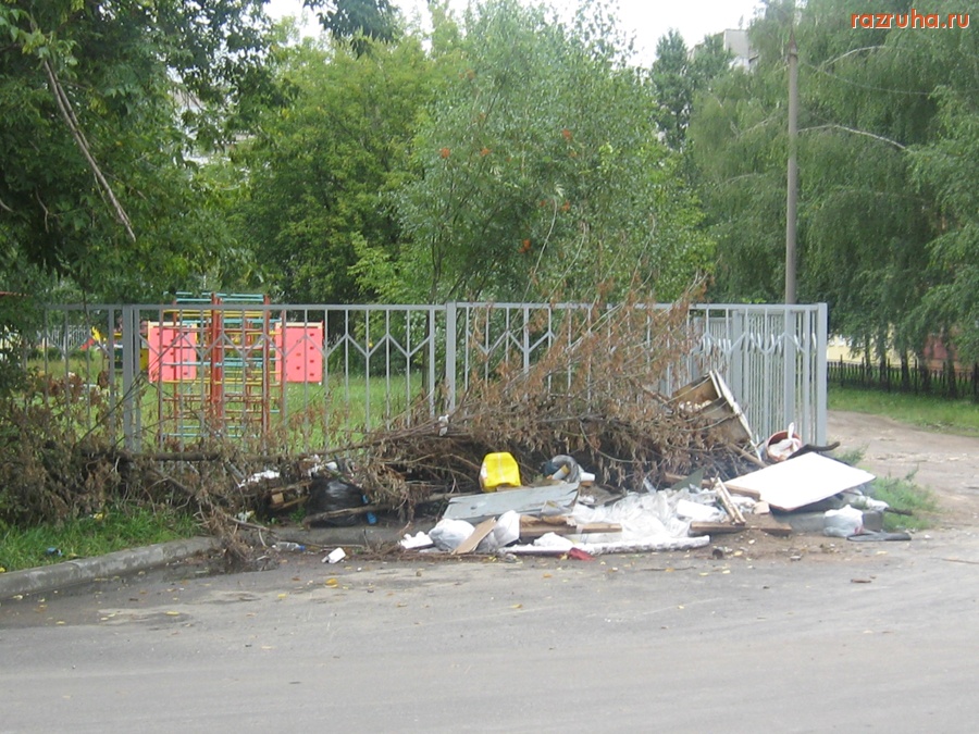 Тверь - Неубранные ветки деревьев и мусор на ул. 1-я Суворова у дома 7