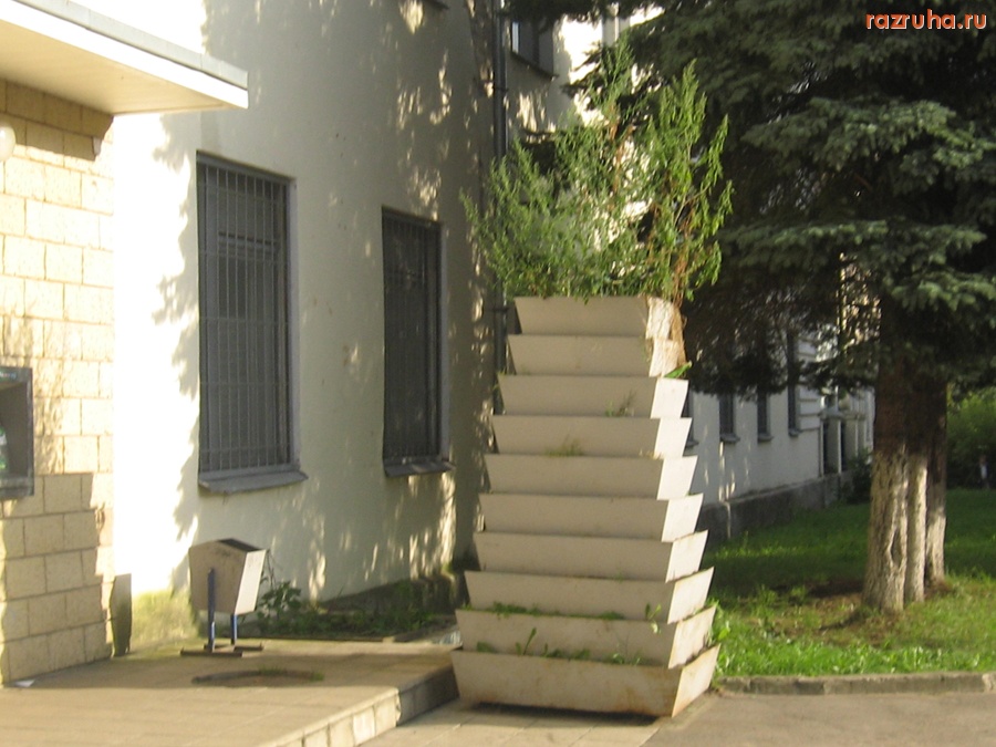 Тверь - В клумбах растут сорняки! Даже не засыхают, как цветы в некоторых клумбах. Набережная Афанасия Никитина, д.32