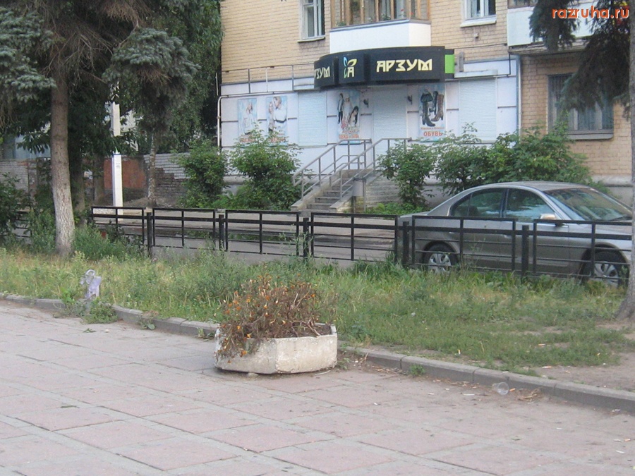 Тверь - На ост. “Речной вокзал” засохли цветы в клумбе!