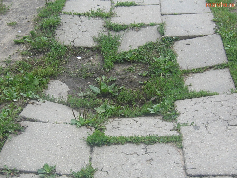 Тверь - Плитки на ул.Желябова, д.1