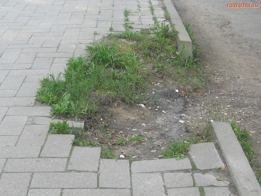 Тверь - Решили сэкономить на плитках на ост. “Комарова”.