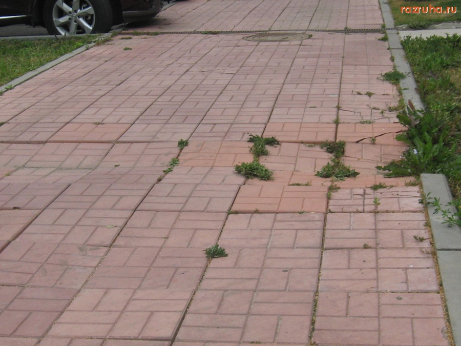 Тверь - Так кладут у нас плитки на ул. Скворцова-Степанова, д.34.