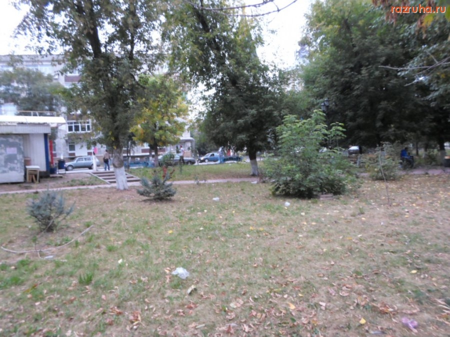 Тверь - Аллея славы? Нет, аллея мусора!!!