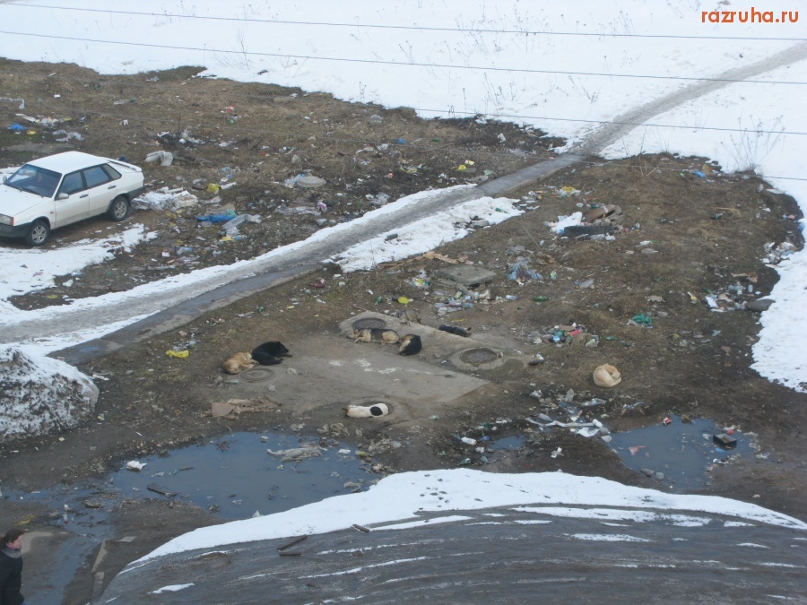 Тверь - Вид из моего окна 3