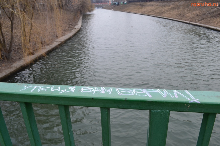 Орёл - Обиделся на уток.