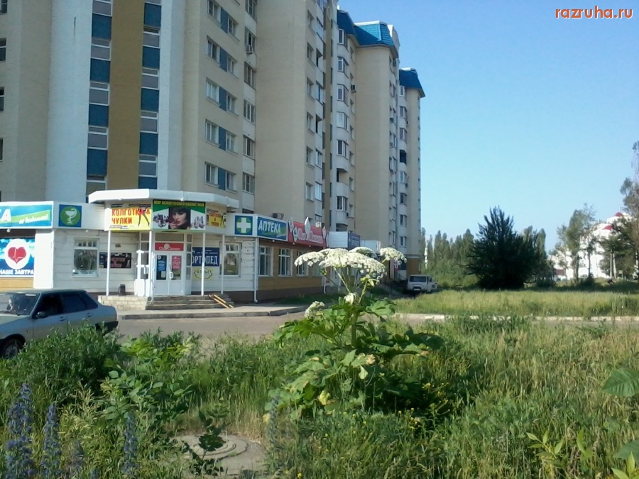 Орёл - Борщевик на клумбе.