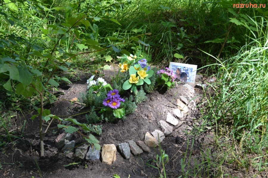 Орёл - Могила верного друга