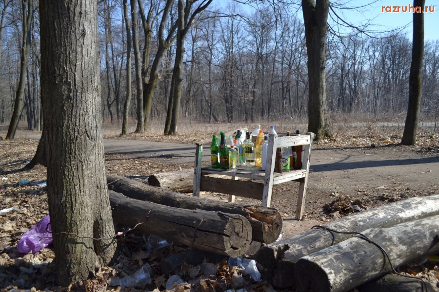 Орёл - Весенний натюрморт.