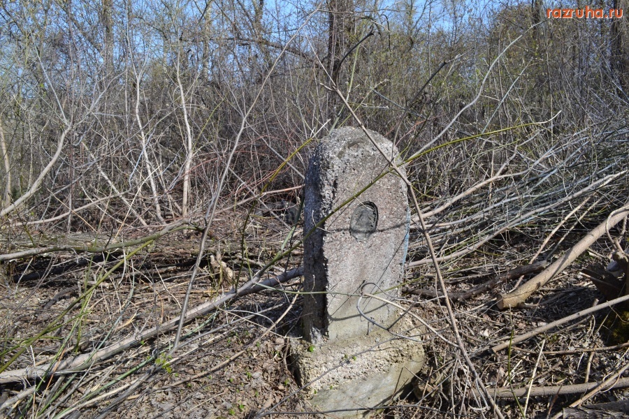 Орёл - Заброшенное еврейское кладбище в городе Орле.