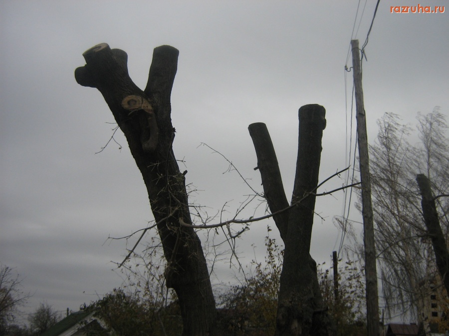 Чебоксары - 