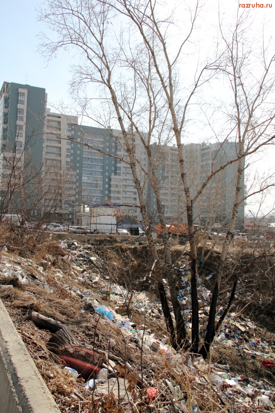 Красноярск - На берегу Енисея.