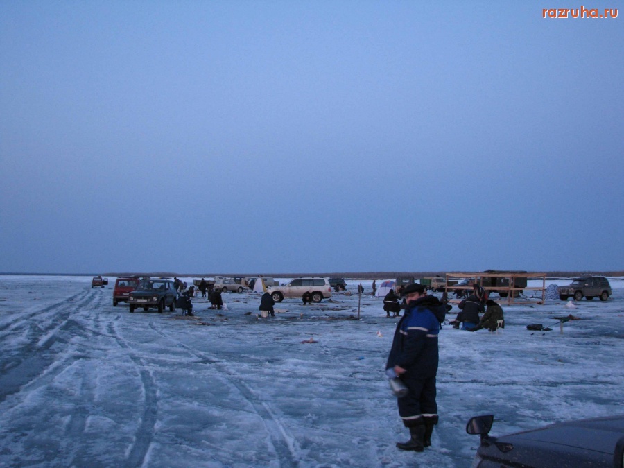 Якутск - Свиньи на рыбалке! Общий план.