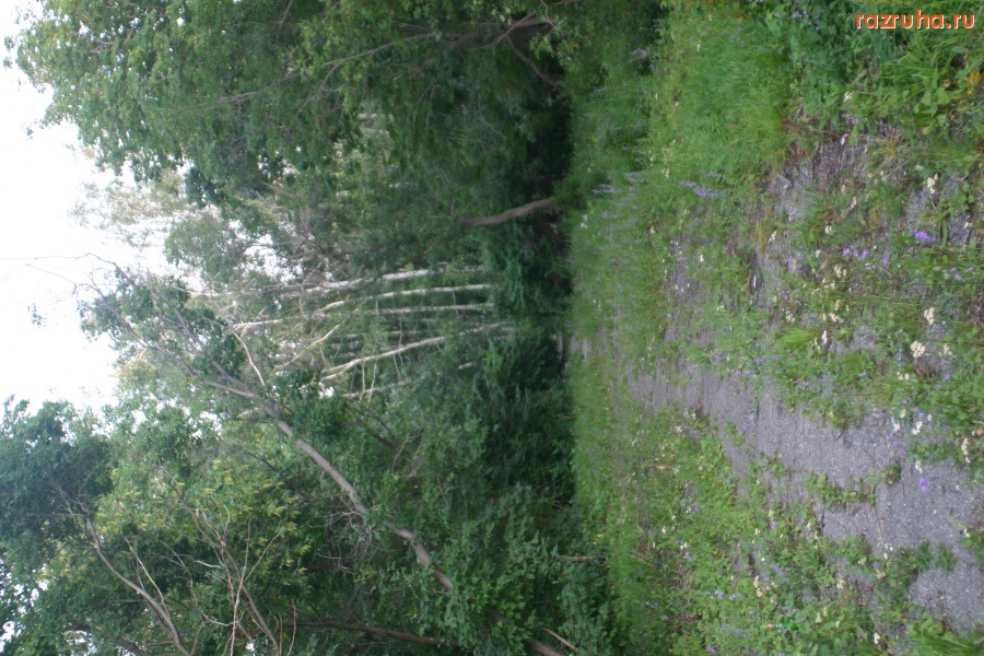 Ульяновск - Средний Венец