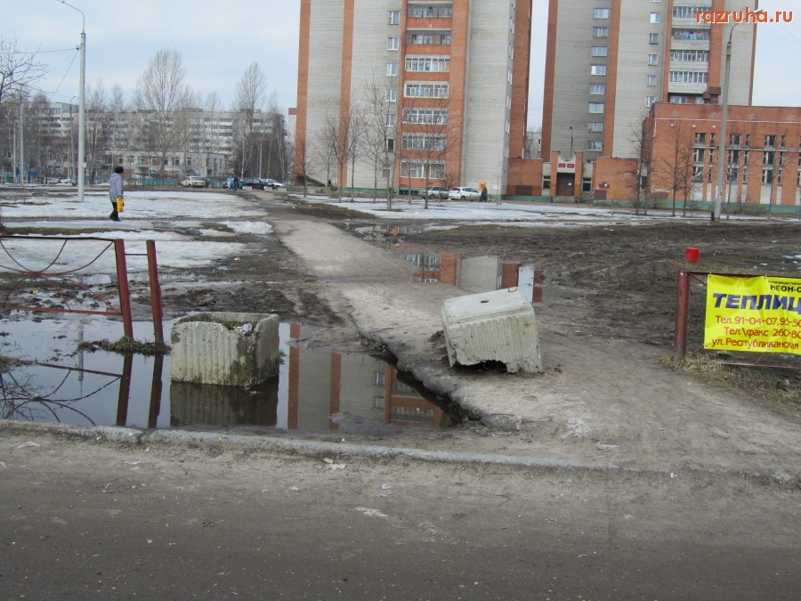 Ярославль - Добрая душа перекрыла дорогу