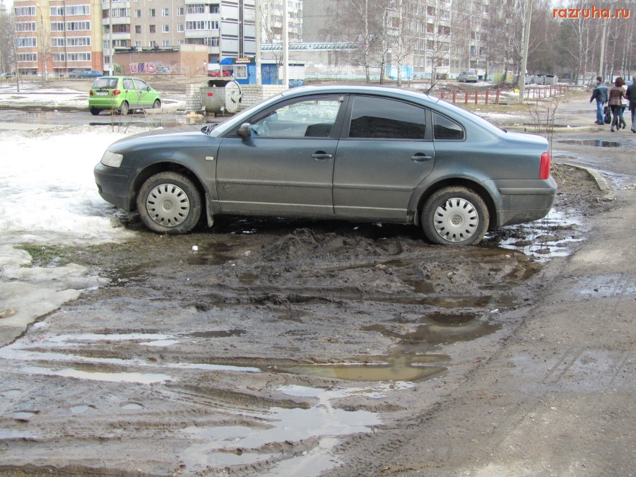 Ярославль - Еще одна свинка