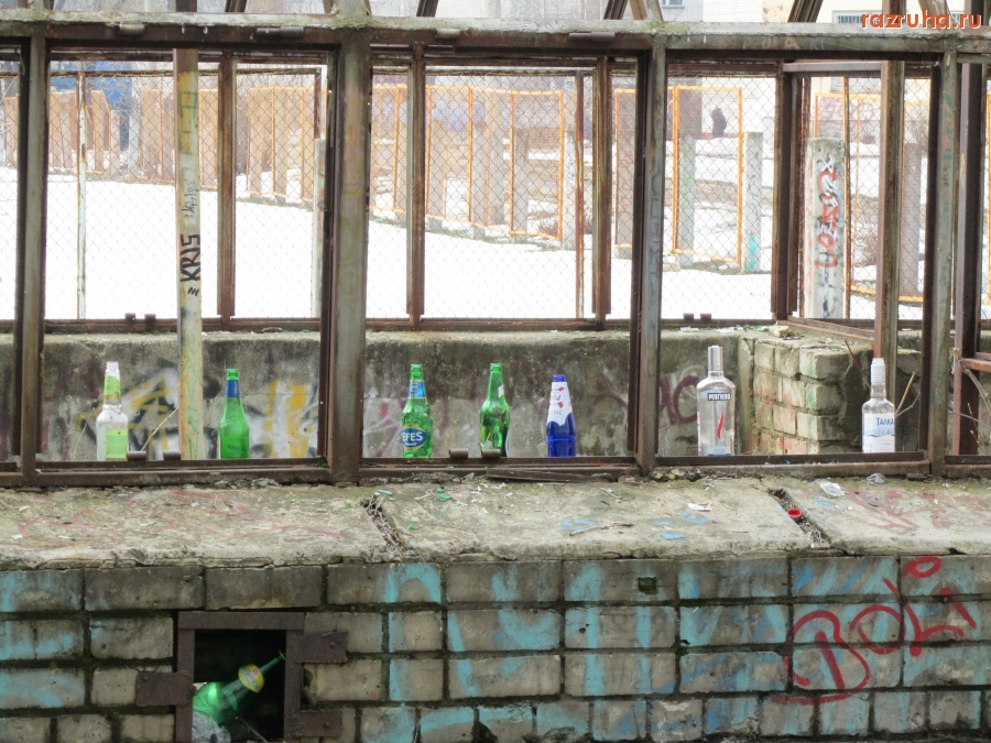 Ярославль - Что выросло за зиму в школьной теплице