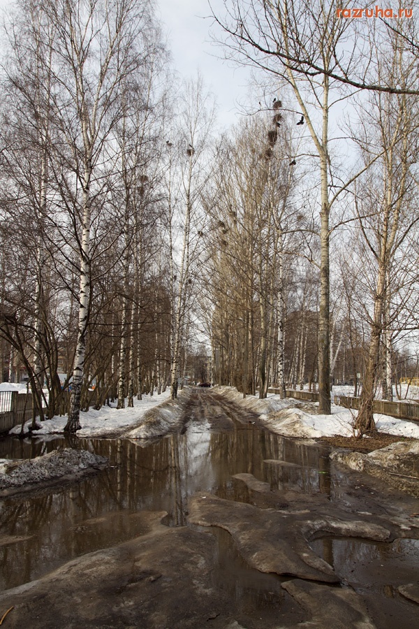 Ярославль - Весна пришла