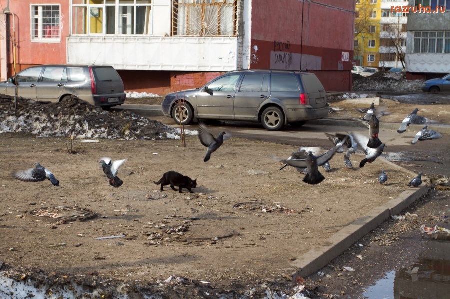 Ярославль - Всюду жизнь