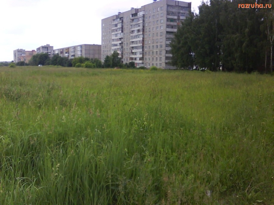 Воскресенск - СЕНОКОС-2008