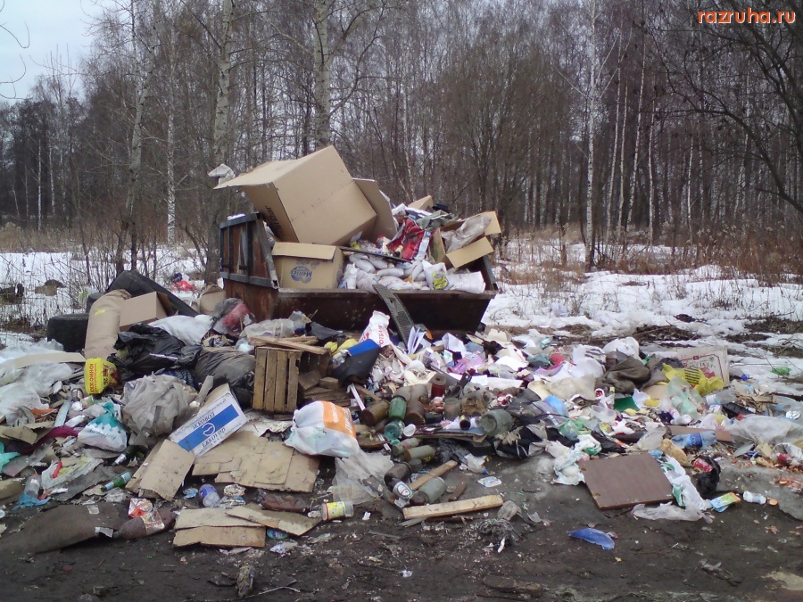 Воскресенск - И снова мусор!!!