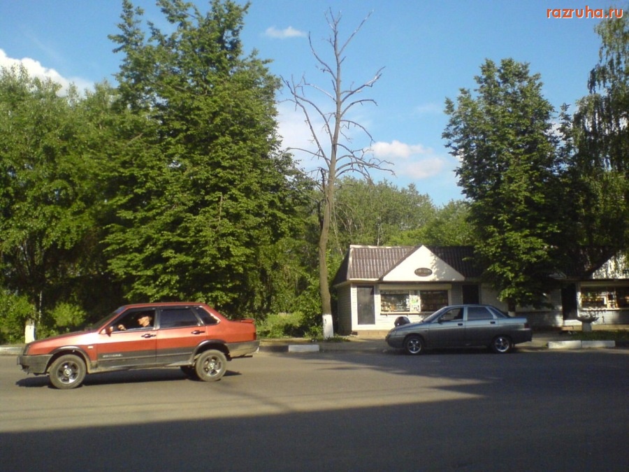 Воскресенск - Красивое дерево!