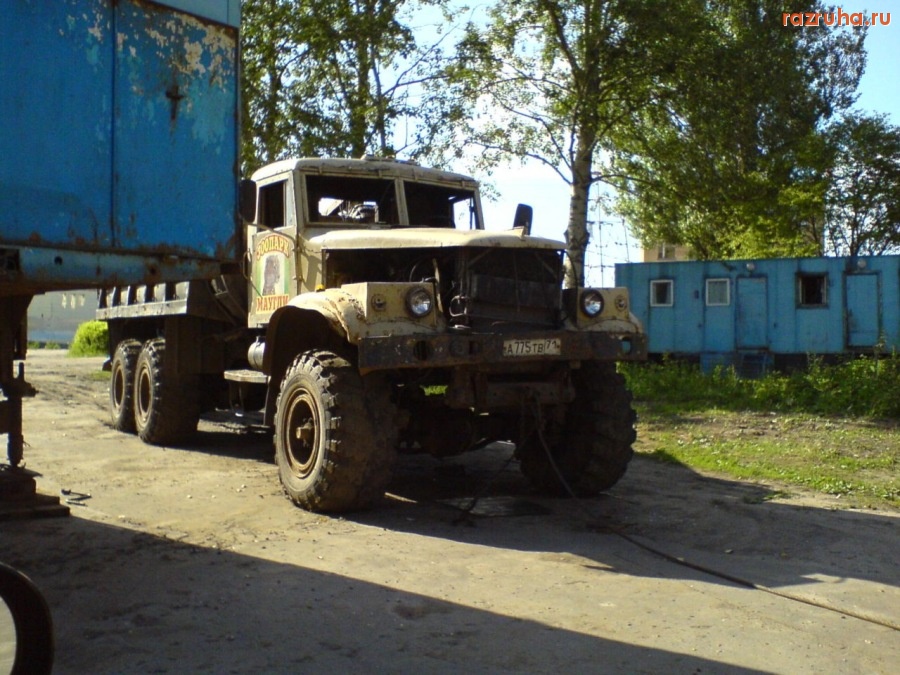 Воскресенск - Зоо!