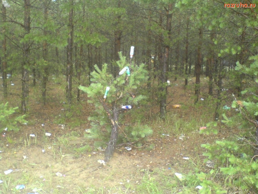 Воскресенск - Новогодняя ель!