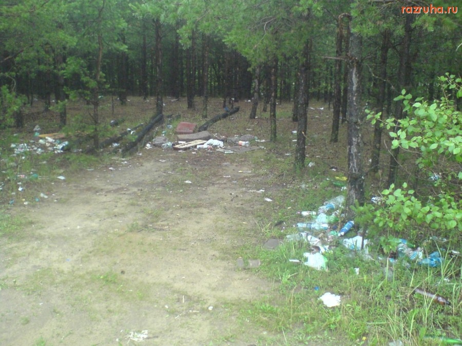 Воскресенск - Загадили всё что можно!