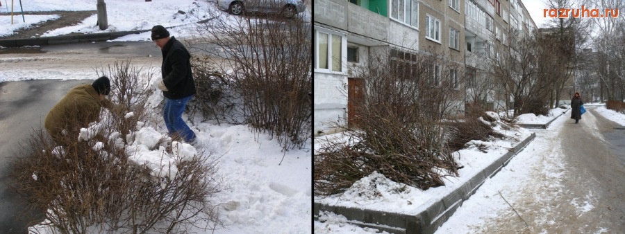 Воскресенск - Полисадник