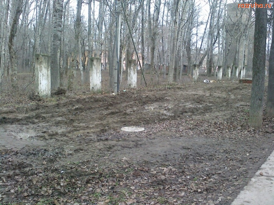 Воскресенск - У входа в парк