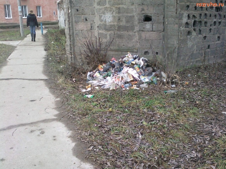 Воскресенск - А свиньи кто?