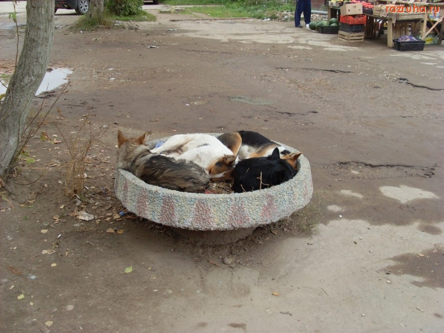 Воскресенск - утомленные