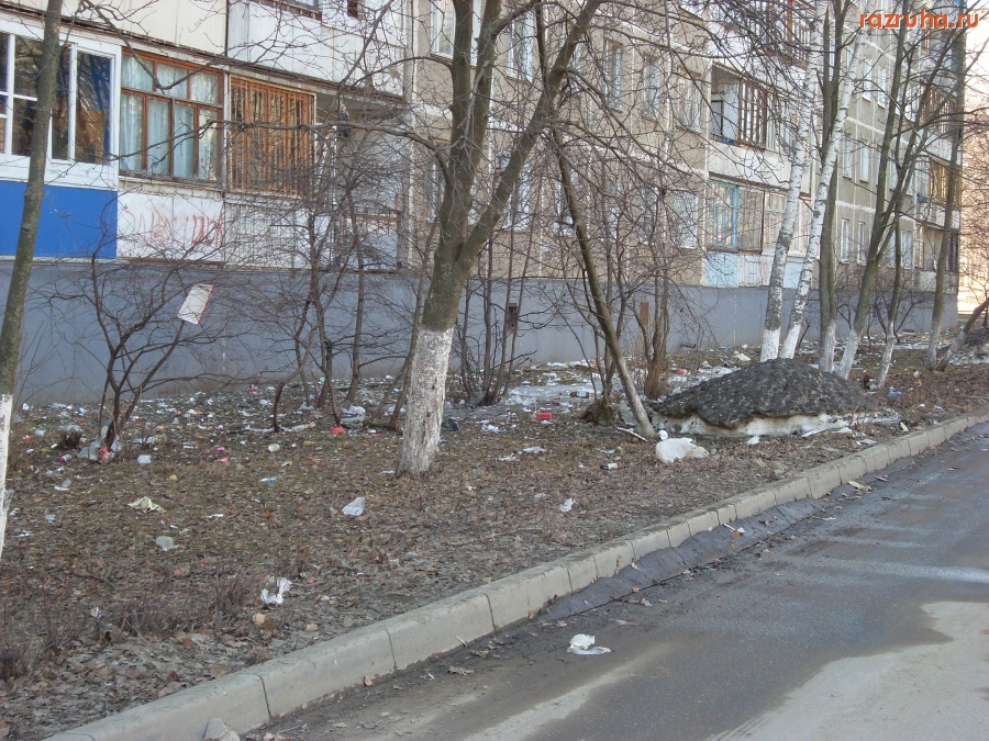 Воскресенск - Мусор1