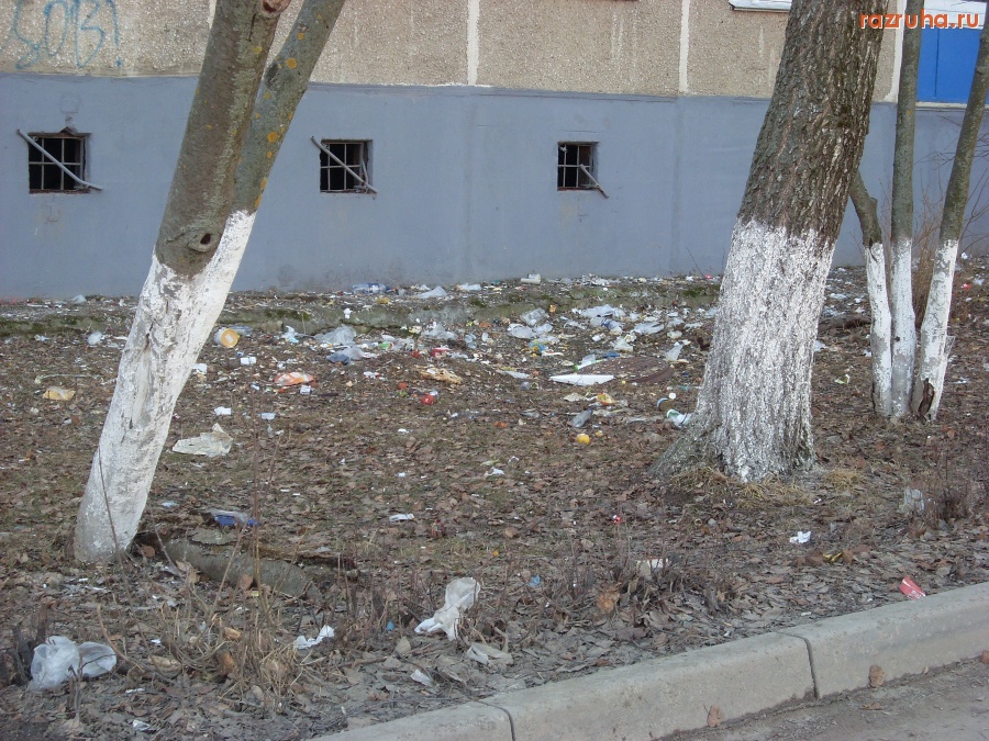 Воскресенск - Мусор2