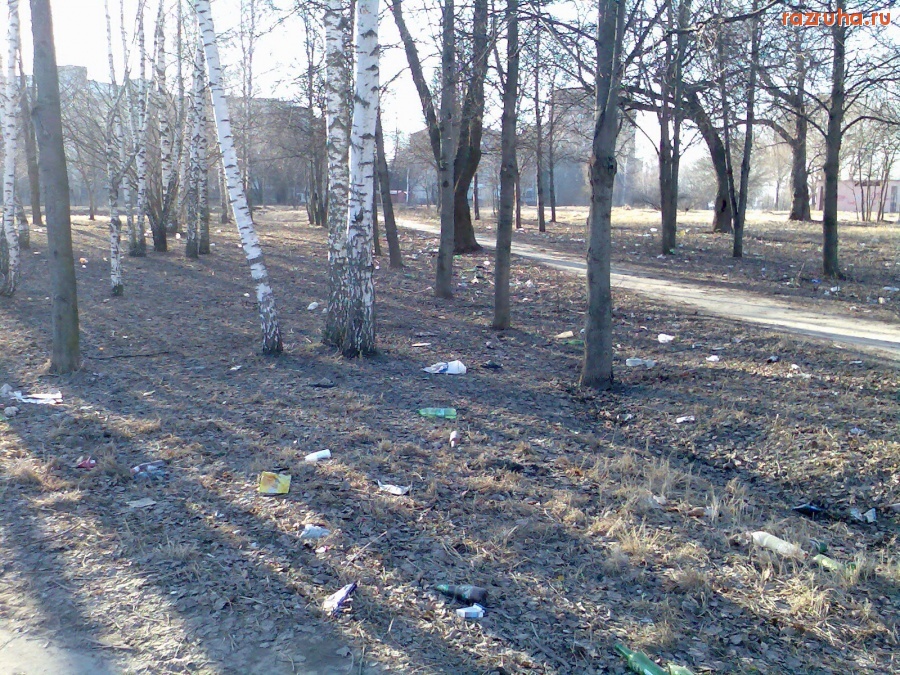 Воскресенск - Подснежники