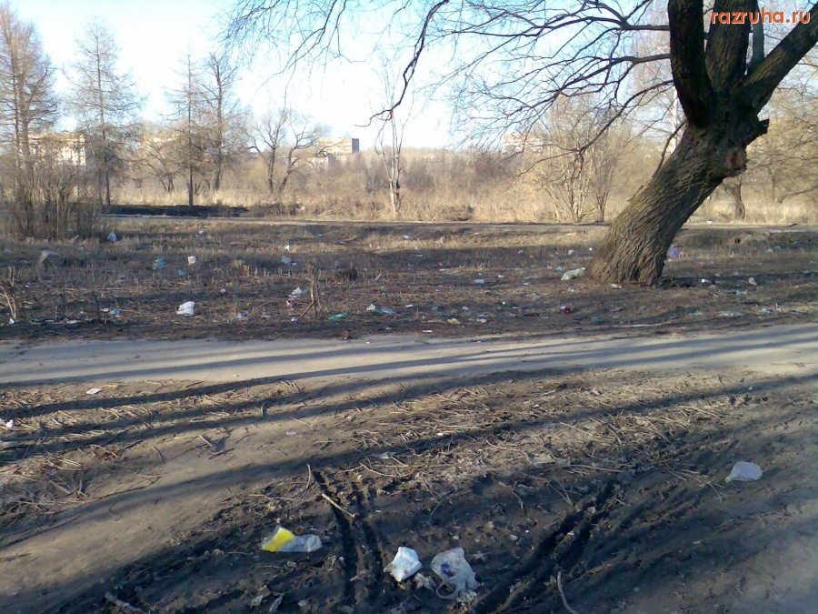 Воскресенск - Подснежники_2