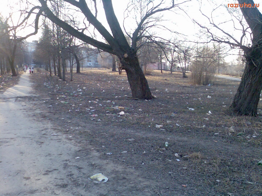 Воскресенск - Подснежники_3