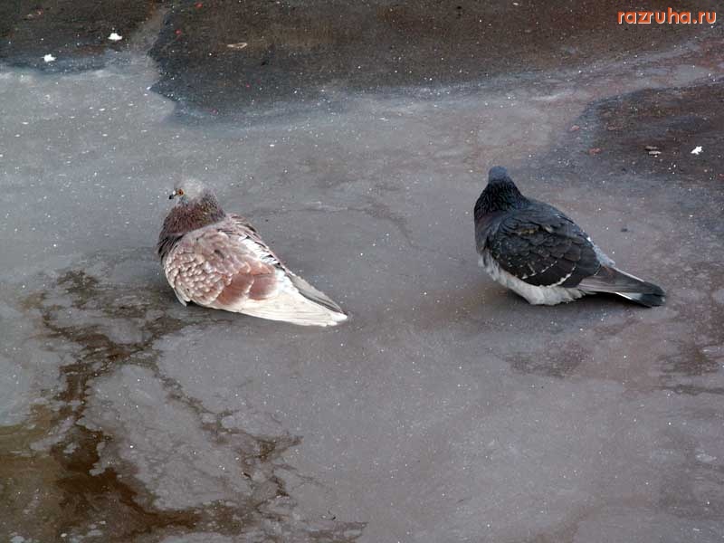 Воскресенск - Цементные ванны