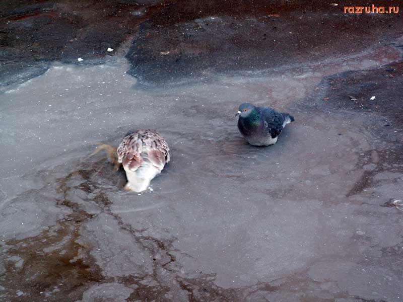 Воскресенск - Цементные ванны - 2