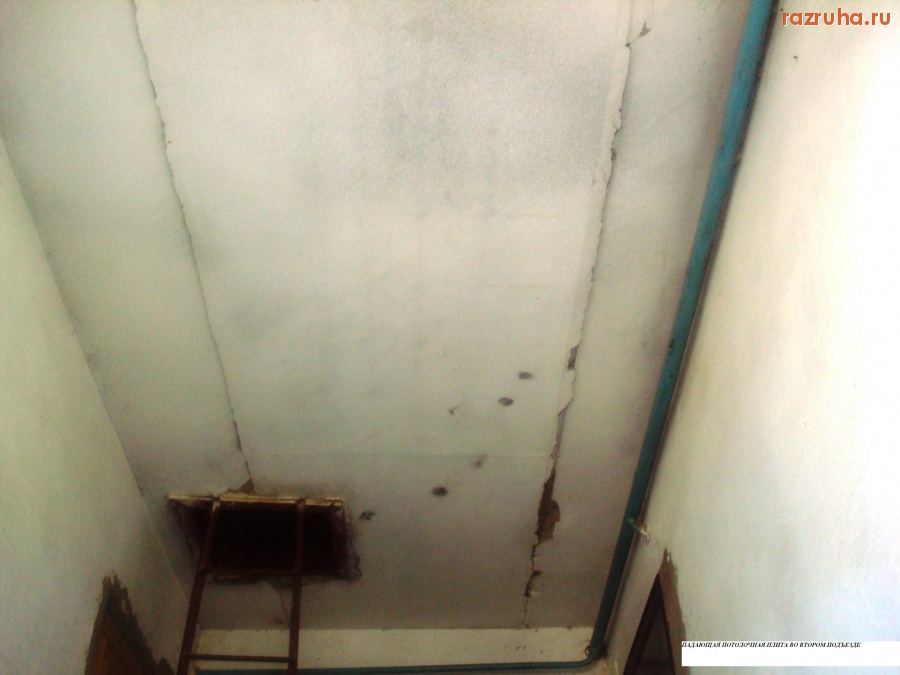 Для участников проекта - наш дом