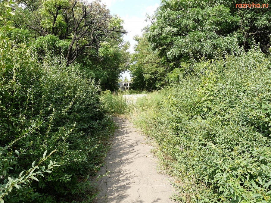 Донецкая область - Вход в парк 20-лет