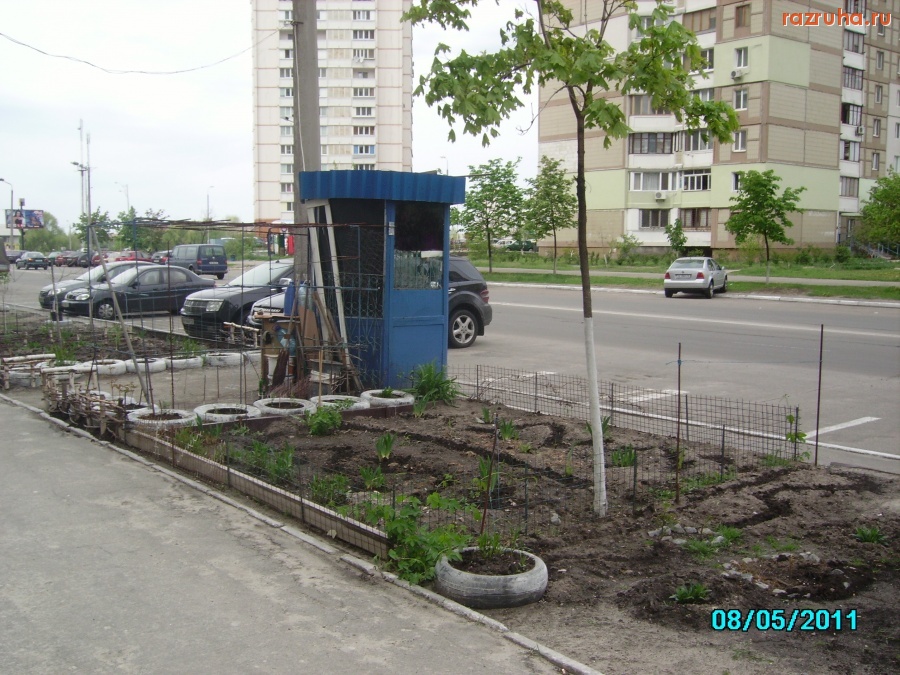 Киев - Сама садик я садила, сама буду поливать...