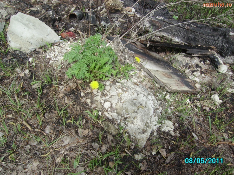 Киев - Всюду жизнь