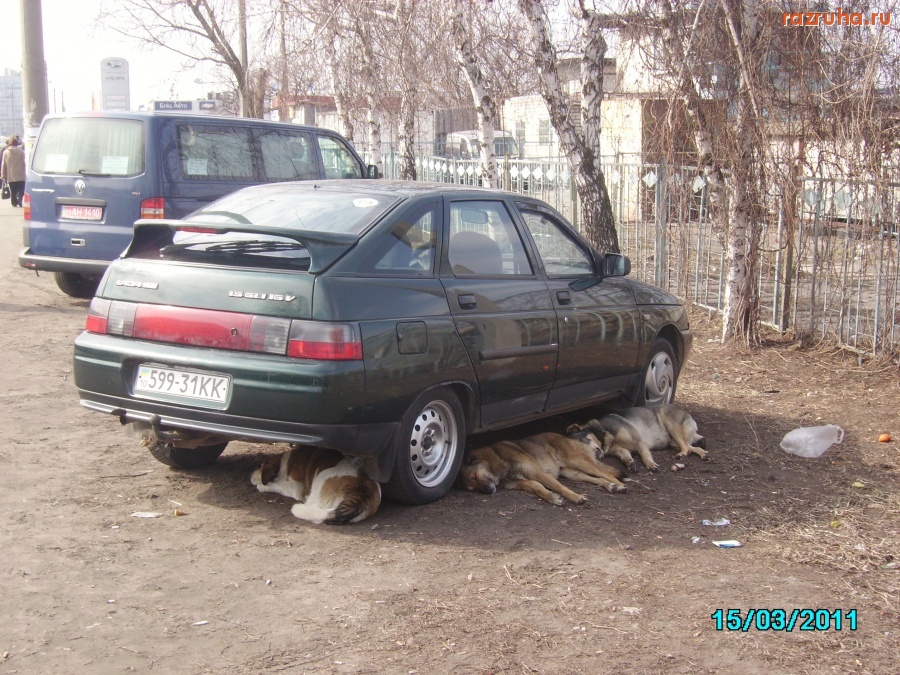 Киев - Сообразили на троих