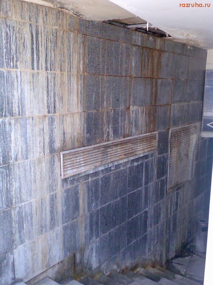 Киев - Глобус